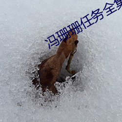 冯珊珊任务全集 （云龙风虎）