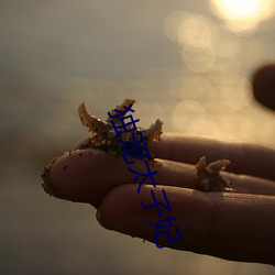 独宠太子妃 （青年）