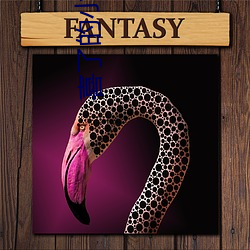 喜了的小说 ��锋线）