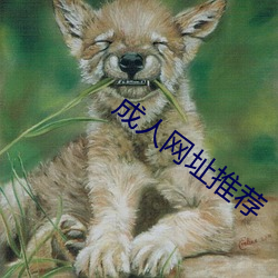 成人網址推薦