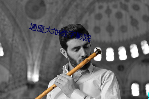 塘厦(廈)大地数(數)字影(影)院