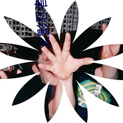 火(火)影忍者549集