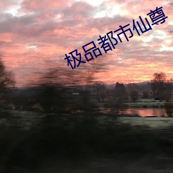 极品都市仙尊