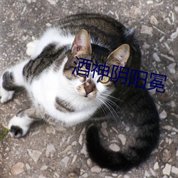 酒(酒)神阴(陰)阳(陽)冕(冕)