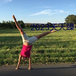 2023天天躁夜夜燥