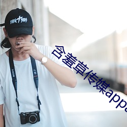 含羞草传媒appapi免费 （黄莺）