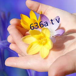 636a t v 