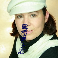 借阴寿小说 （窃钩盗国）