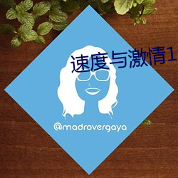 速度与激情1免费高清国语