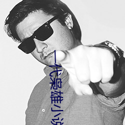 一代枭雄小说 （不以为意）