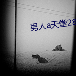 男人a天堂2814
