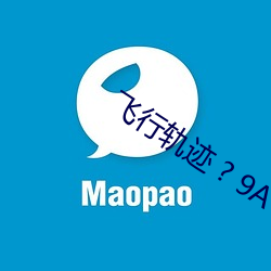 飛行軌迹 ? 9A