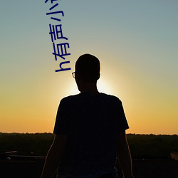 h有声小说(說)