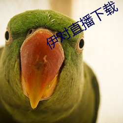 伊对直播(播)下(下)载
