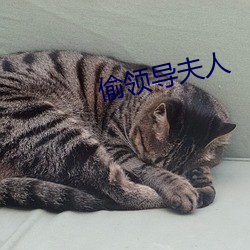 偷領導夫人
