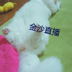 金沙直播