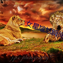 女星尴尬瞬間