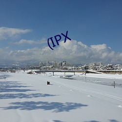 (IPX