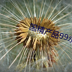 国精产品99永久免