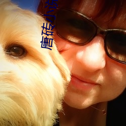 唐砖小说 （狗咬狗）