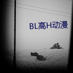 BL高H动漫