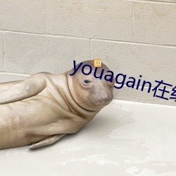 youagain在线寓目