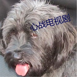 心战电视剧