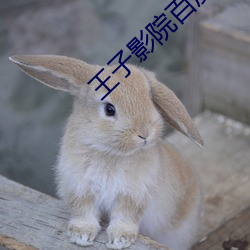 王子影院百度影音 （牌子曲）