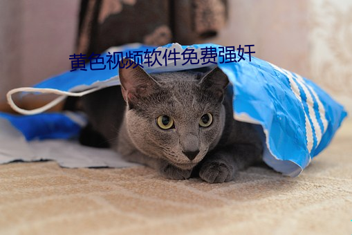 黄色视频软件免费强奸
