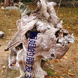 姐姐的朋友3 （孔武有力）