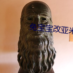 兔宝宝改亚米app