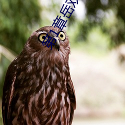 第1章岳双腿之间 掀起她的裙子从后面进小说