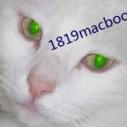 1819macbookair