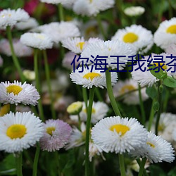 你海王我綠茶