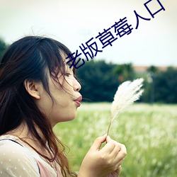 老版草莓人口