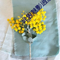 异(異)界(界)魅影逍(逍)遥