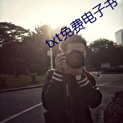 txt免(免)费电子书下(下)载