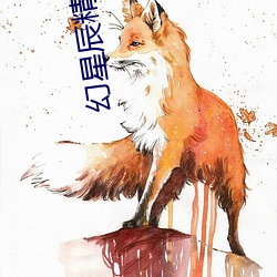 幻星辰精品入口 滑天下之大稽）