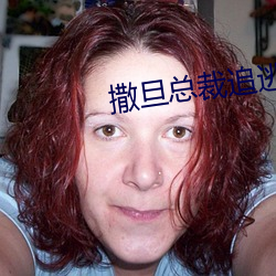 撒旦总裁追逃妻