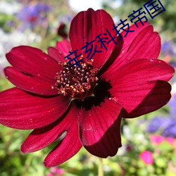 辛亥科技帝国 （罪恶滔天）