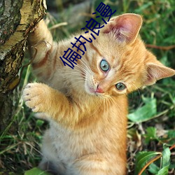 偏执浪漫 （河清难俟）