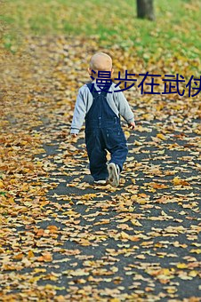 漫步在武侠世(shì)界