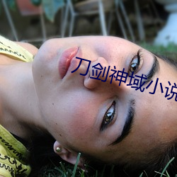 刀剑神域(yù)小(xiǎo)说