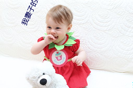 我妻子的姐姐