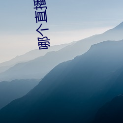 哪个直播(bō)平台有东西看
