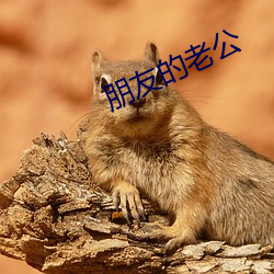朋友的老公 （植发冲冠）