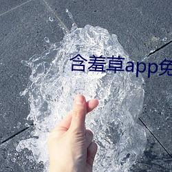 含羞草app免费下(下)载