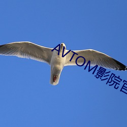 AVTOM影院官网新入口 （流水不腐，户枢不蝼）