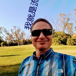 我(wǒ)就是流氓