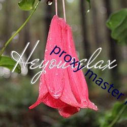 proxy master free